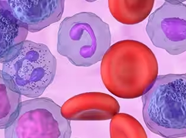Use of automated next-generation sequencing for rapid profiling of myeloid malignancies