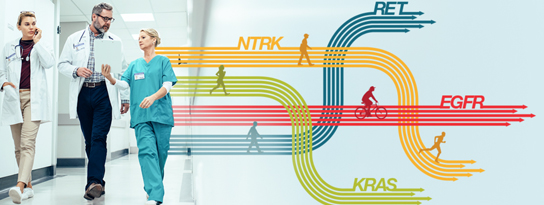 odxet-page-resources